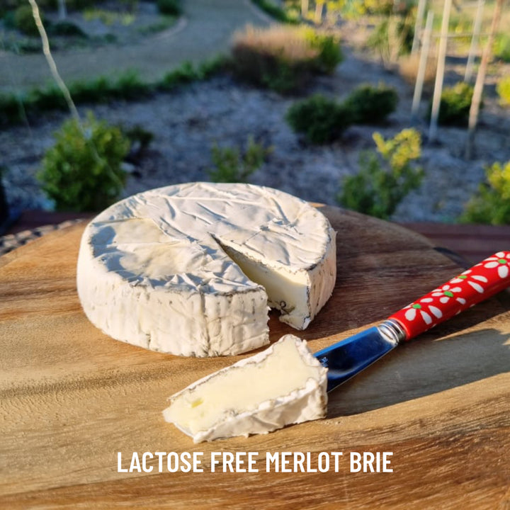 Coolamon Cheese Co. Merlot Brie Double Cream Brie Cheese Handmade Artisan lactose free